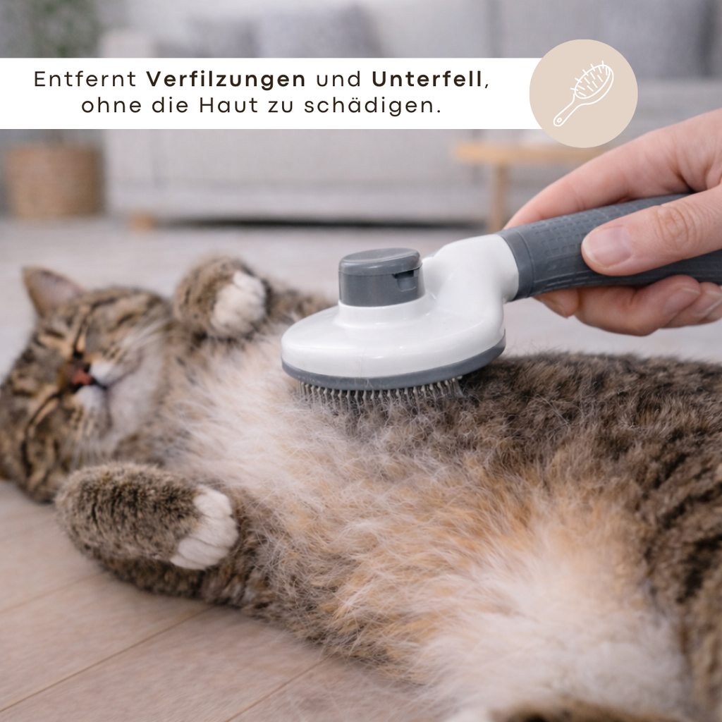 Groomi - Selbstreinigende Haarbürste