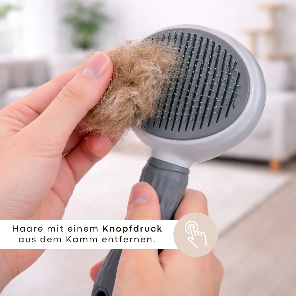 Groomi - Selbstreinigende Haarbürste