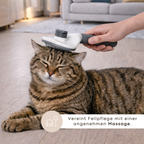 Groomi - Selbstreinigende Haarbürste