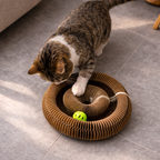 Wirbelino - Kratzkreisel mit Kugelbahn